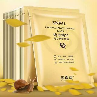 Mặt nạ ốc sên