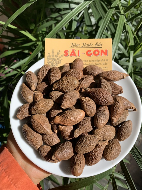 HẠT ĐƯỜI ƯƠI BAY 500GRAM