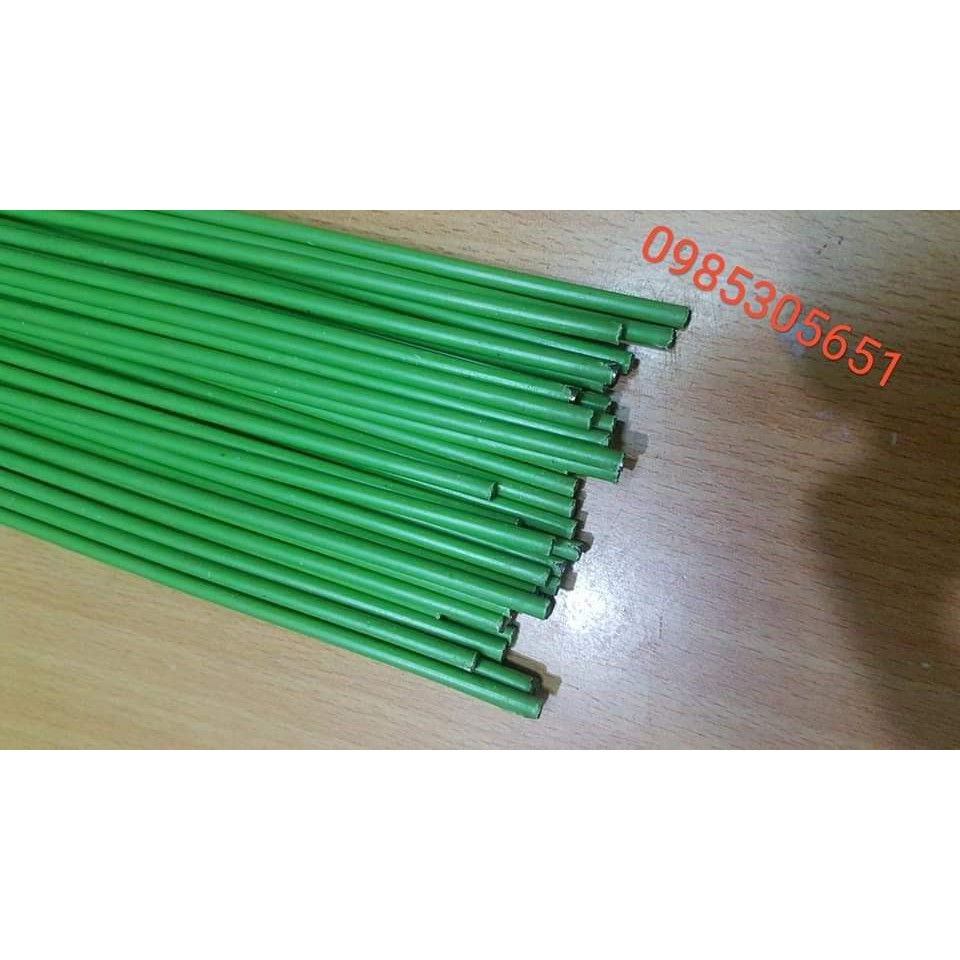 1 kg que cắm cố định lan