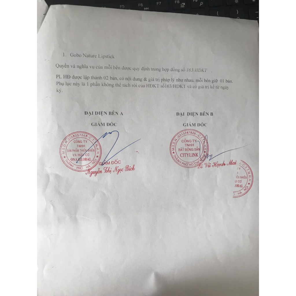 Son GOBO không chì COCAYHOALA #sonthiennhien #an_toàn #lành_tính | BigBuy360 - bigbuy360.vn