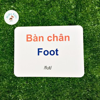 Flashcard Glenn Doman - Bộ Phận Cơ Thể