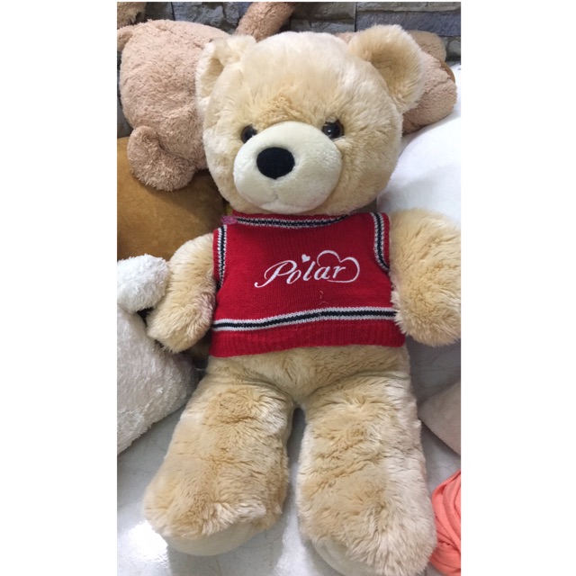 Teddy 65cm hàng korea siêu đẹp