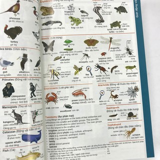 Sách - Từ Điển Anh - Việt Dành Cho Học Sinh (Tái Bản)