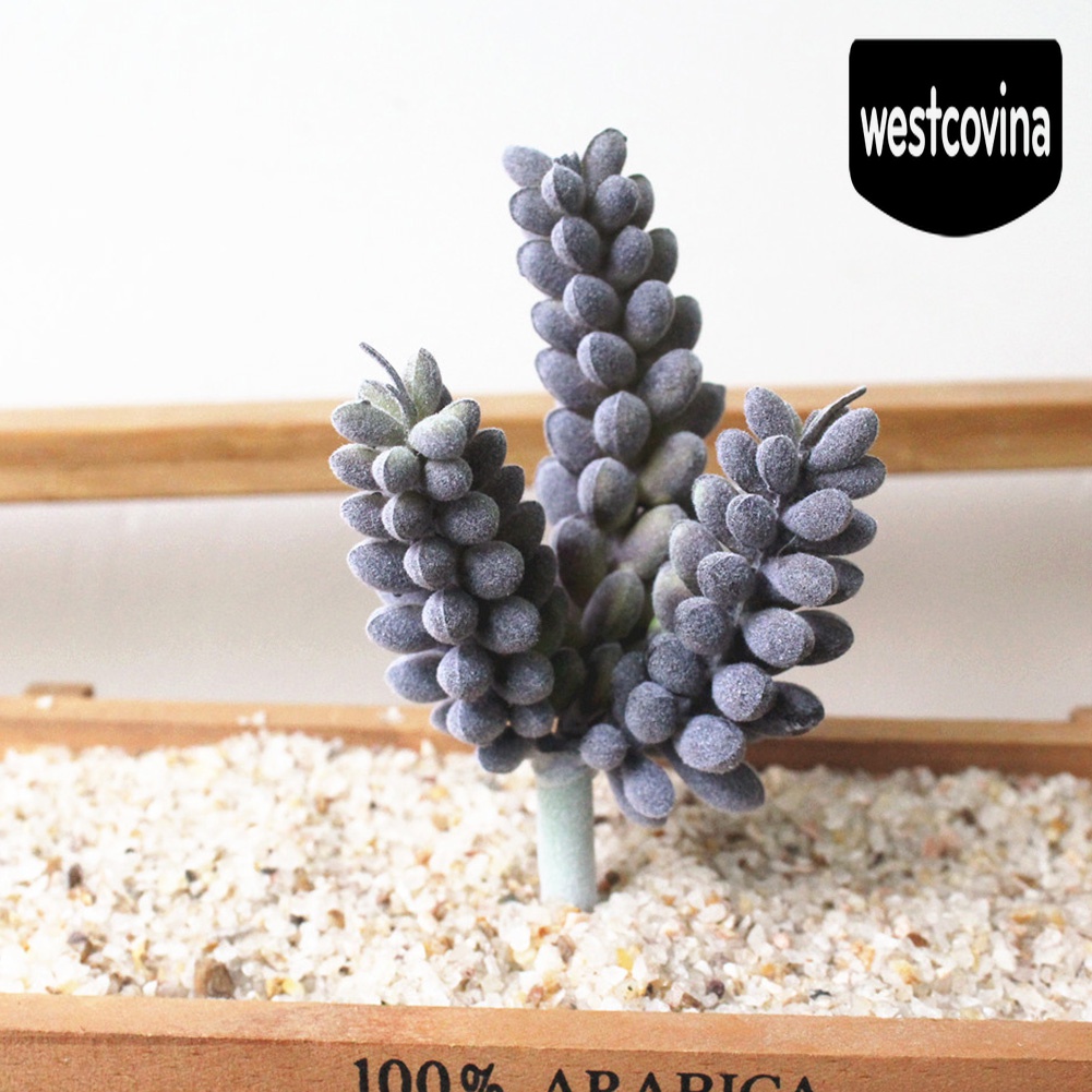 [Hot]☀ 1 Chậu Cây Bonsai Để Bàn Trang Trí