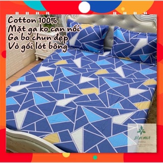 Bộ Ga kèm vỏ gối Cotton 100% cao cấp, đủ kích thước