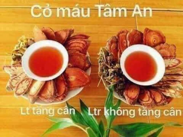 CỎ MÁU TÂM AN