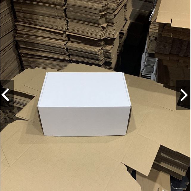 Freeship - 10 HỘP CARTON NẮP GÀI 21x13.5x10cm