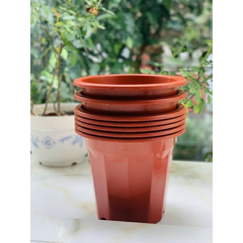 Chậu nhựa trồng cây, chậu ươm cây size 28cm và 30cm (nâu, trắng)