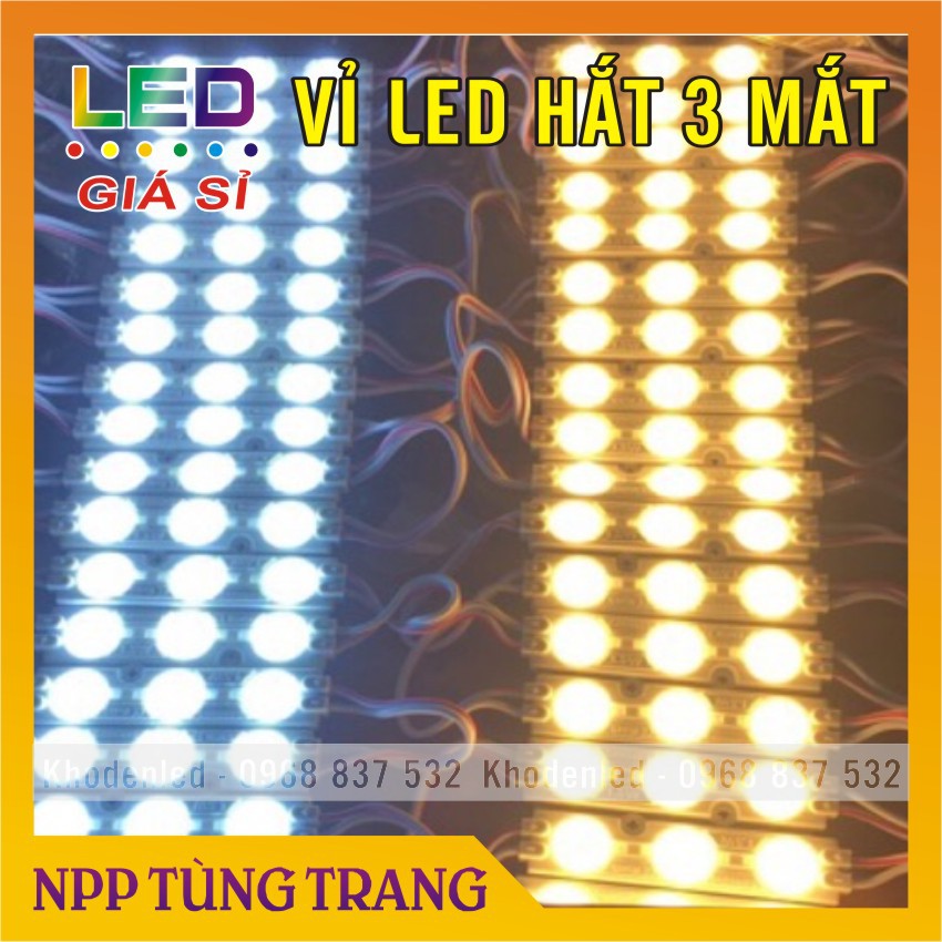 Led hắt 3 bóng mắt lồi điện 12V ( vỉ 20 bóng) loại siêu sáng | BigBuy360 - bigbuy360.vn