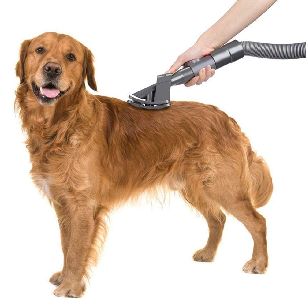 Bàn Chải Lông Chuyên Dụng Cho Thú Cưng Dyson