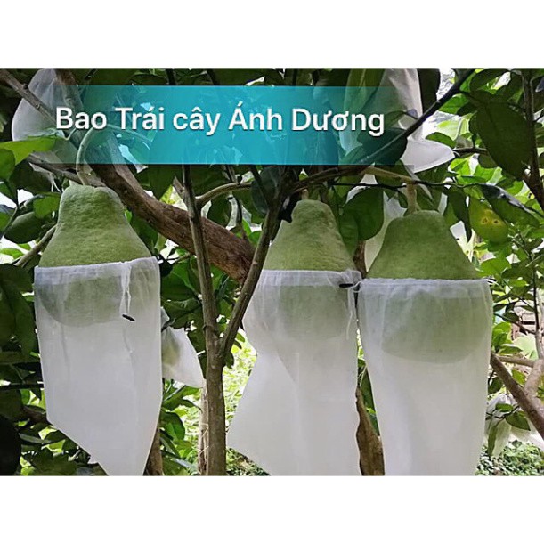 S rẻ SET 10 Túi bọc trái cây 30x30,2cm bằng vải không dệt chuyên dùng bọc Xoài Cát Hòa Lộc, Xoài Đài Loan, Bưởi Năm roi