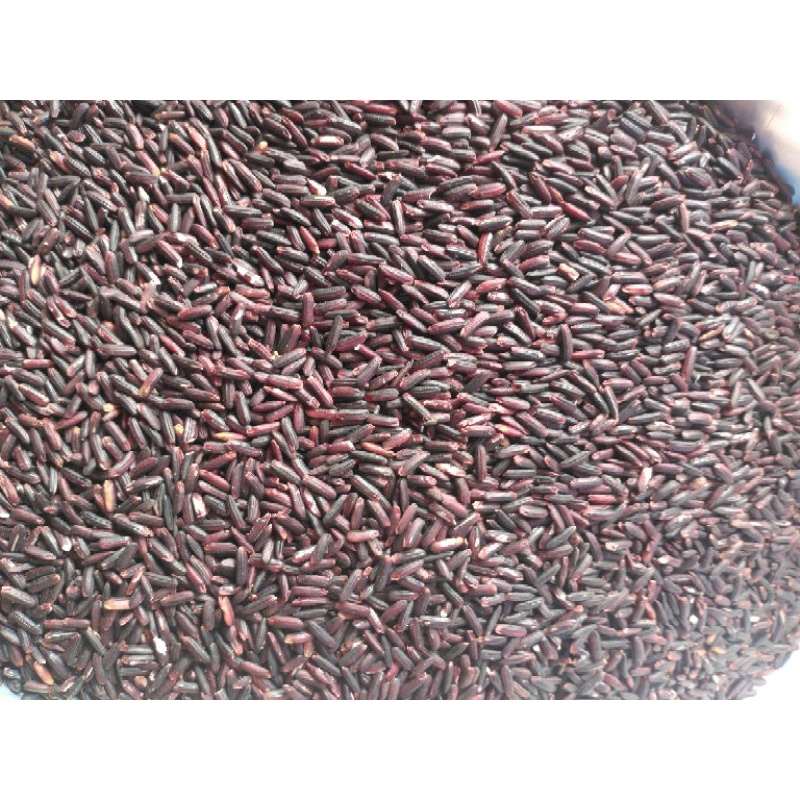 Gạo nếp cẩm,nếp than.