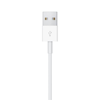 Cáp sạc Apple Watch Magnetic Charging Cable (1 m)