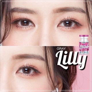 Lens xám giãn vừa Lilly/Cupid có độ