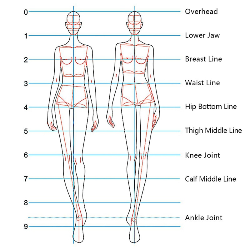 Thước Đo Vẽ Phác Thảo Hình Người Thời Trang