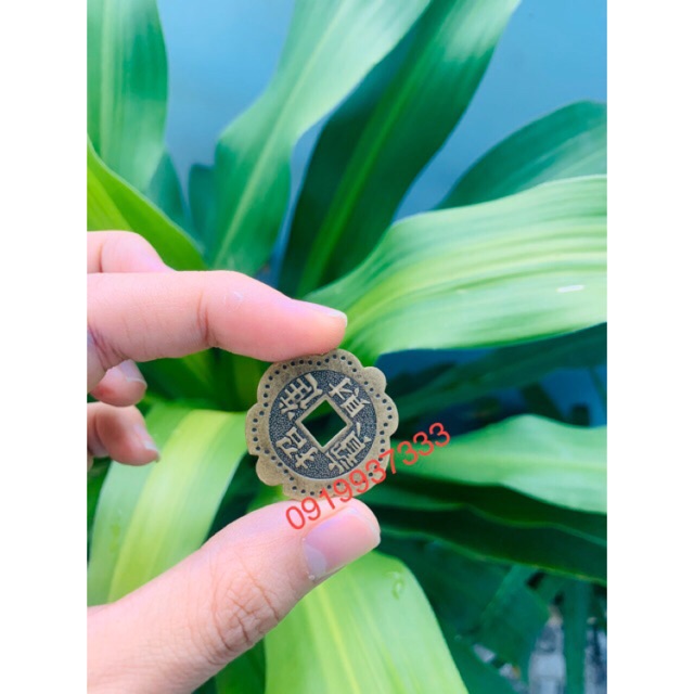 Đồng xu hoa mai 3 cm