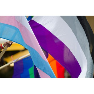 Cờ Vô tính, phổ Vô tính (Asexual/ LGBT)