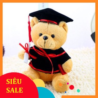 Gấu bông tốt nghiệp giá rẻ