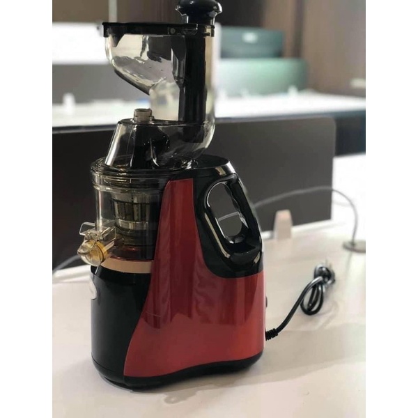 Máy ép chậm , ép trái cây Hongxin RH313 mẫu mới