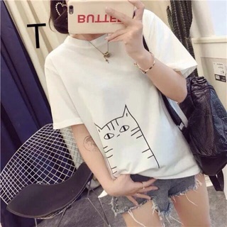 Áo thun mèo mặt ngu combo