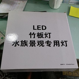 Đèn Led đế gỗ