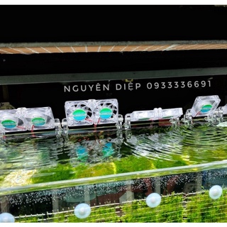 Quạt Thủy Sinh - Quạt Bể Cá trong suốt, mạnh như bão