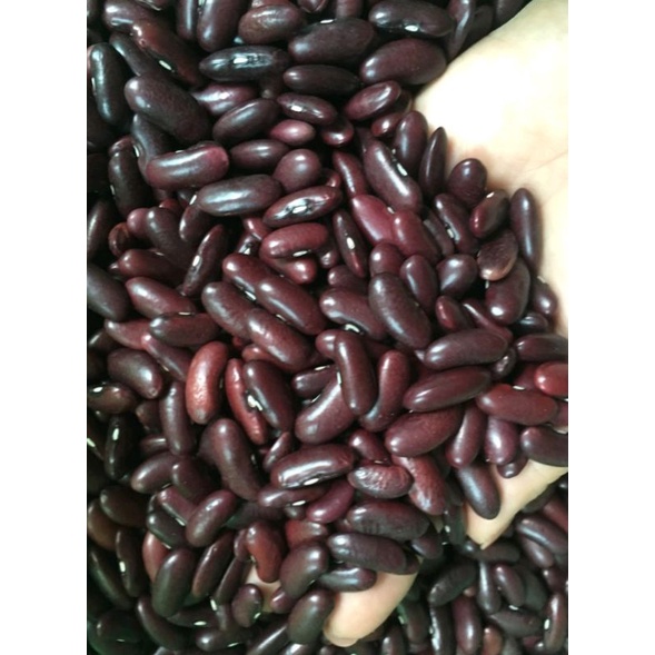 Đậu đỏ quê hàng chọn-500g-1kg