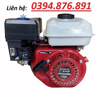 Máy nổ – động cơ xăng 7.5hp yokohama gx230-ch trục thẳng