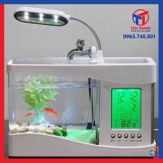 Bể cá mini để bán tích hợp nhiều chức năng