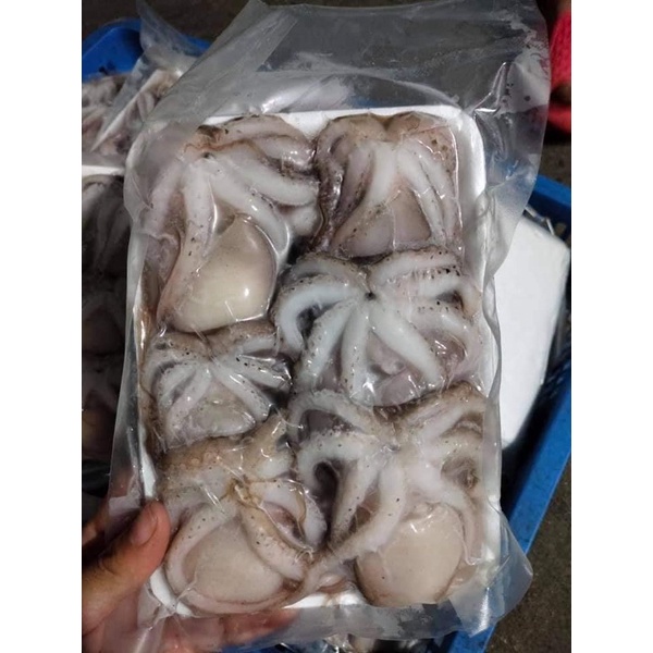 Bạch tuộc sữa 500gr