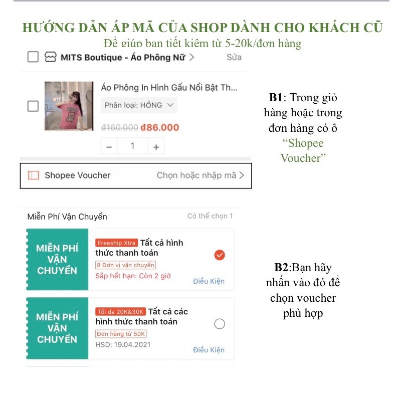 Áo Phông In Hình Gấu Nổi Bật Thời Trang QCCC Loại 1 Free Ship, Áo Phông Cotton Mát Chất Mịn Giá Rẻ, Form Giấu Quần, MN03