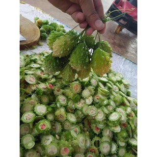 MƯỚP ĐẮNG , KHỔ QUA RỪNG ( 1 KG)