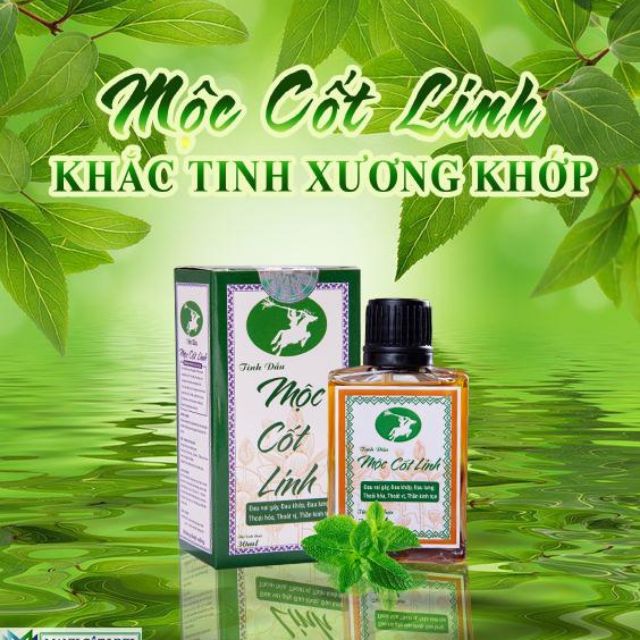 Tinh dầu Mộc Cốt Linh