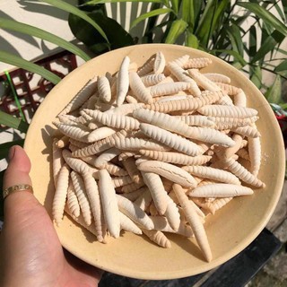 Bánh Đuông Sữa Dừa Siêu Ngon