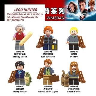 Minifigures nhân vật phim Harry Poster WM 6046