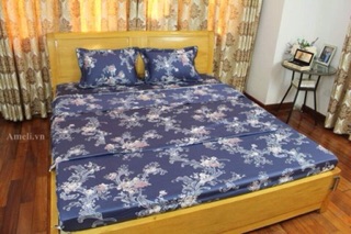 Bộ ga và vỏ gối cotton lụa hàn alnena