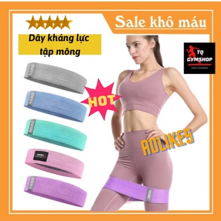 Dây Mini Band Đàn Hồi Kháng Lực Tập Mông Chân Đùi Aolikes Siêu Bền Chính Hãng