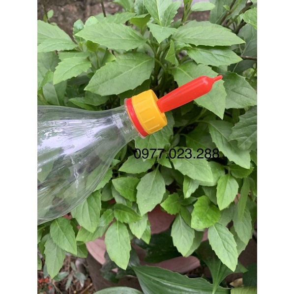 Núm bú sữa silicone lắp chai nhựa cho dê cừu bê heo lợn chó mèo