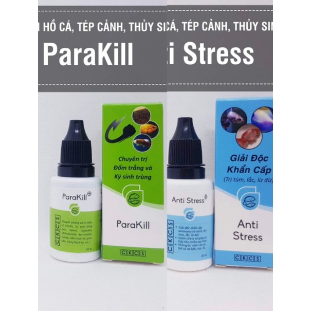 Anti stress và Parakill dưỡng cá lờ đờ, núp góc, túm lắc, nấm, ký sinh trùng