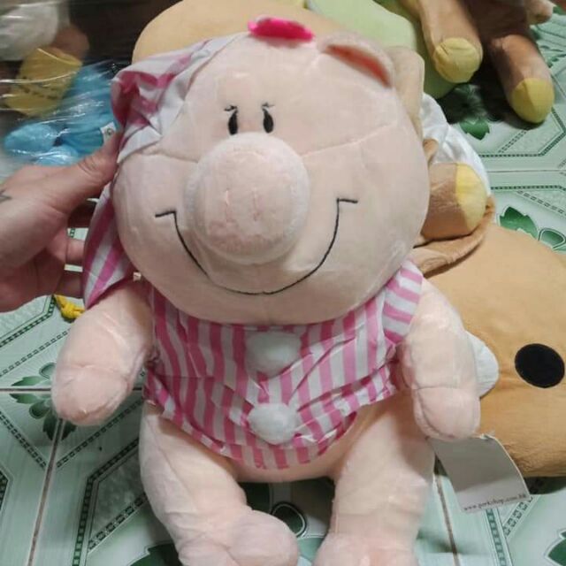 gau bong si