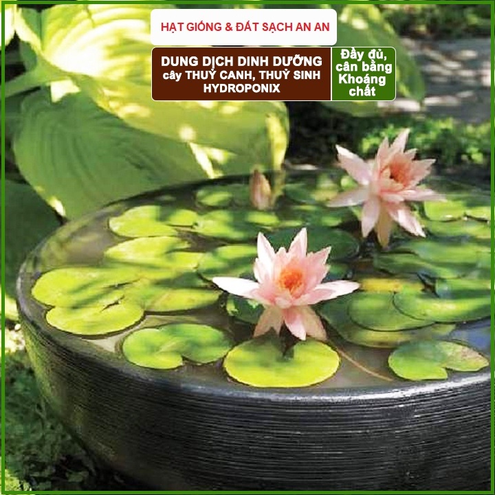 Dung Dịch Dinh Dưỡng Thủy Canh Lavamix - An An Saigon