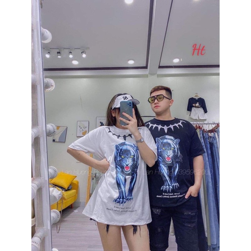 Áo phông sói cổ tia H2Q876