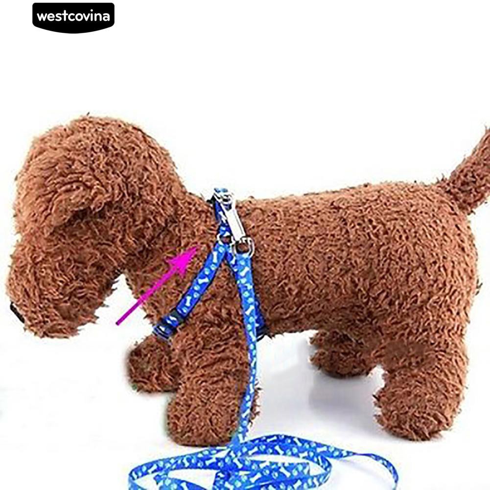 Dây dắt thú cưng vải Polyester siêu bền và dễ thương có khung dây đeo