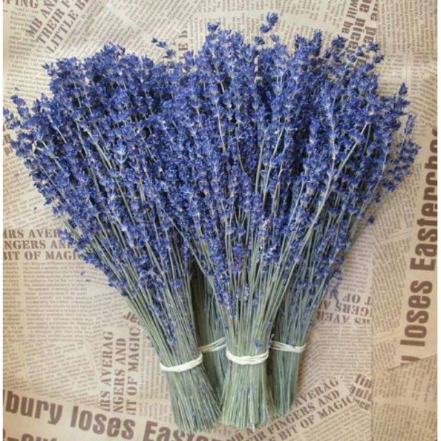 Bó hoa khô hoa lavender 130g (nhập Anh, nhập Pháp) KÈM VIDEO HÌNH THẬT, tặng kèm túi thơm