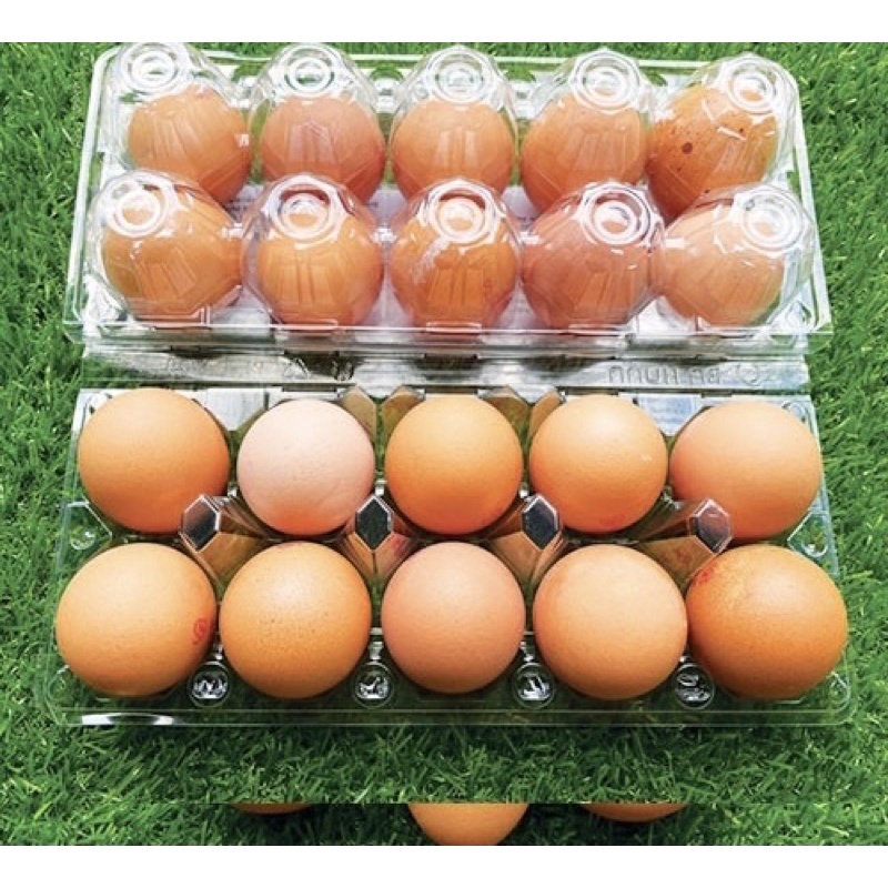 Trứng gà, trứng vịt - hộp 10 trứng ( Nowship từ Quận 6)