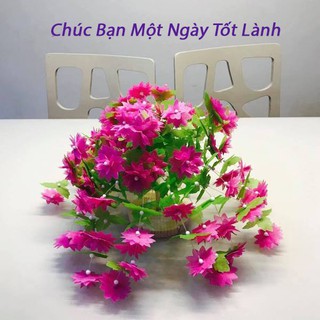 Combo 6 bộ Hoa Giấy Lụa Treo Tường