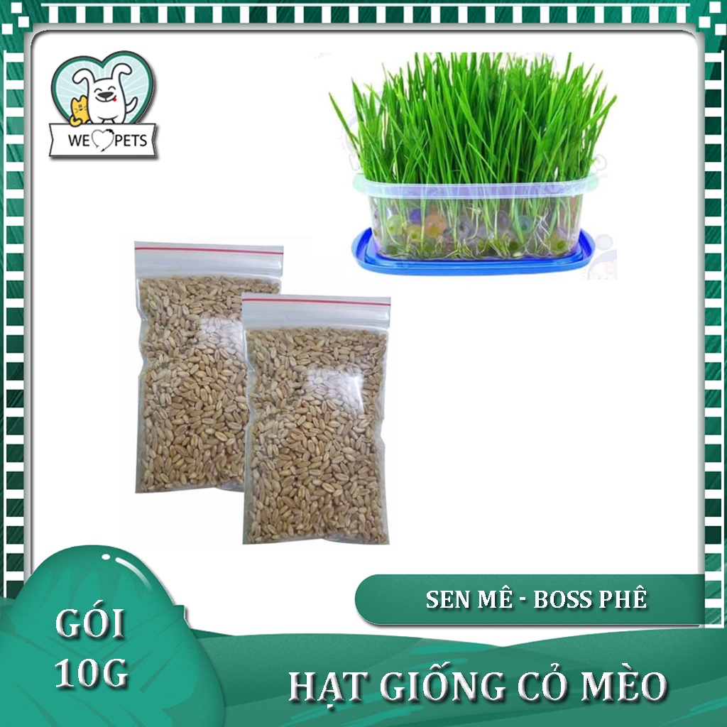 🤹‍♂️(10g) HẠT GIỐNG CỎ MÈO TƯƠI NGON BỔ DƯỠNG - Lida Pet Shop