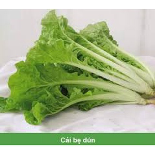 Hạt giống cải dún HN gói 10g