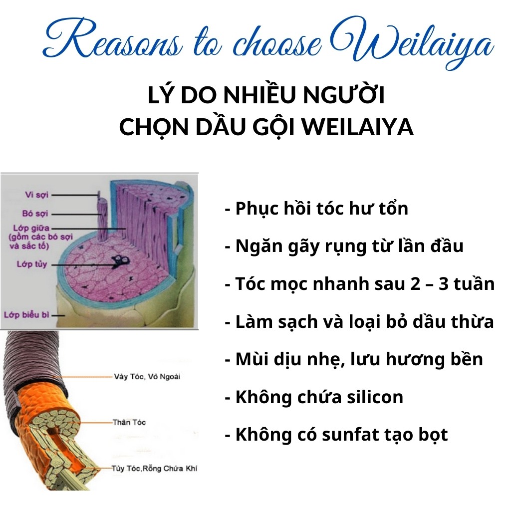 Phục Hồi Hư Tổn Tóc, Cặp Dầu Gội Đầu Phục Hồi Hư Tổn Ngăn Rụng Tóc Weilaiya 14ml - Habala Shop