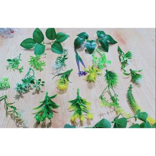 Cỏ điểm lộn xộn 15k /1 lạng